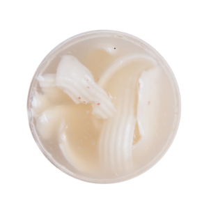 Coconut Jelly